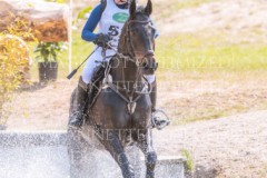 l'Aron des Bois Hedwig WIKSTROEM