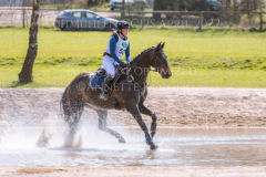 l'Aron des Bois Hedwig WIKSTROEM