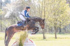 l'Aron des Bois Hedwig WIKSTROEM