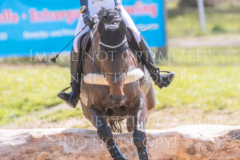 Sir Boggles Smilla Maline PHILIPP