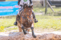 Monarts Masterpiece Julia MESTERN