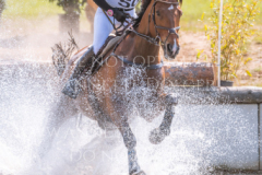 Monarts Masterpiece Julia MESTERN