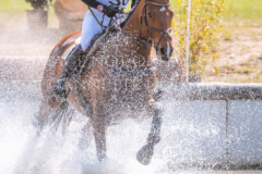 Monarts Masterpiece Julia MESTERN