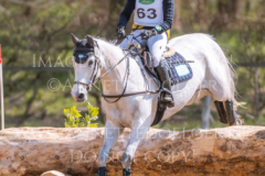 Madame d' Engelbourg Z Louise ROMEIKE