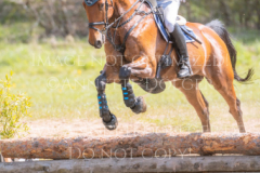 Unteam de la Cense Dr. Moritz SPONAGEL