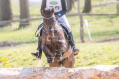 DSP Casskaniello Marco KRUEGER