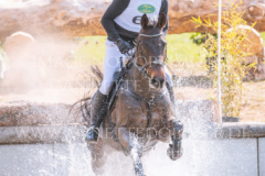 DSP Casskaniello Marco KRUEGER