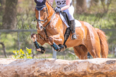 Lazulith 10 Madeleine Victoria SCHWERDT