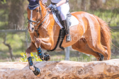 Lazulith 10 Madeleine Victoria SCHWERDT