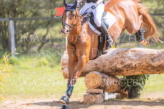 Lazulith 10 Madeleine Victoria SCHWERDT