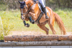 Lazulith 10 Madeleine Victoria SCHWERDT