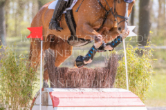 Lazulith 10 Madeleine Victoria SCHWERDT