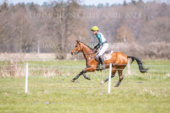 Iron Maiden Aistis VITKAUSKAS