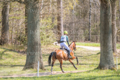 Iron Maiden Aistis VITKAUSKAS