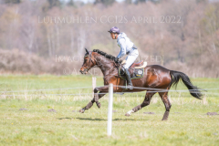 Cinderella 741 Dirk SCHRADE