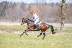 Cinderella 741 Dirk SCHRADE