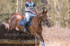 Sonnenlicht 4 Andreas BRANDT