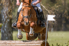 Sonnenlicht 4 Andreas BRANDT