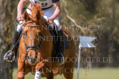 Sonnenlicht 4 Andreas BRANDT