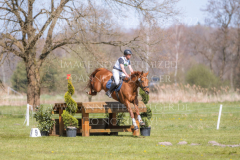 Sonnenlicht 4 Andreas BRANDT