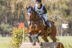 Linus Hm 2 Sophia HUHN