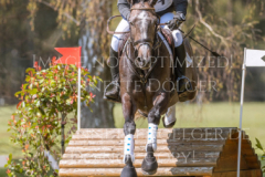 Elegance 50 Rebecca-Juana GERKEN