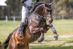 Eddie Weld Beeke JANKOWSKI