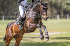 Eddie Weld Beeke JANKOWSKI