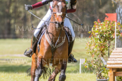 Lord Locksly Sophia FRANK