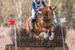 Looping Louie 15 Marcella OBERST