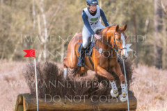 Looping Louie 15 Marcella OBERST