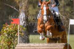 Looping Louie 15 Marcella OBERST