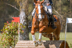 Looping Louie 15 Marcella OBERST