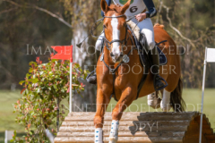 Looping Louie 15 Marcella OBERST