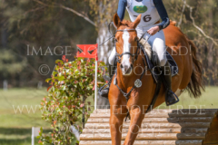 Looping Louie 15 Marcella OBERST