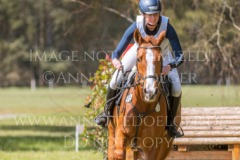 Looping Louie 15 Marcella OBERST