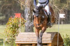 Crosby 48 Nicolai ALDINGER