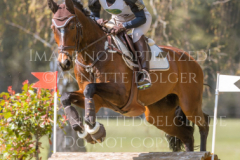 Quaentchen 2 Petra GLINSKI