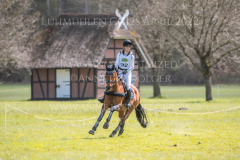 Noble Beauty Anna-Luisa MILLIES