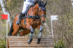 Noble Beauty Anna-Luisa MILLIES