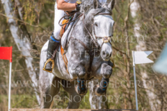 Inedit de Virton Geoffroy DE JAMBLINNE