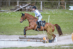 Vegas de l Elfe JRA Shunto TAKAHASHI