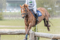 Daylight P 3 Sandra PENNDORF