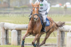 Daylight P 3 Sandra PENNDORF