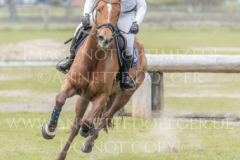 Daylight P 3 Sandra PENNDORF