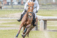 Daylight P 3 Sandra PENNDORF