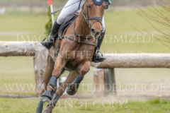 Extravagance 3 Louise ROMEIKE