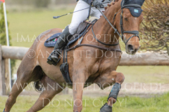 Extravagance 3 Louise ROMEIKE