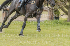 Goofalixx Donata-Viktoria BECHSTEIN