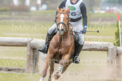 Forever-Paola Mia Lucia SCHAPER